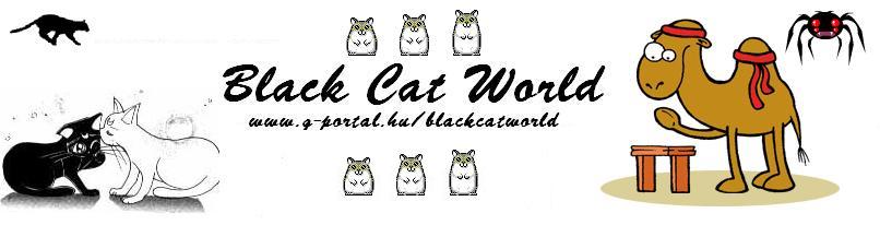 Black Cat World